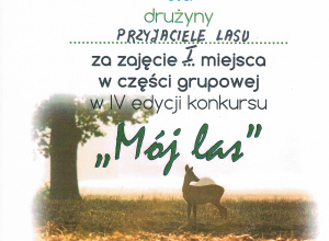 4 edycja konkursu „Mój las”